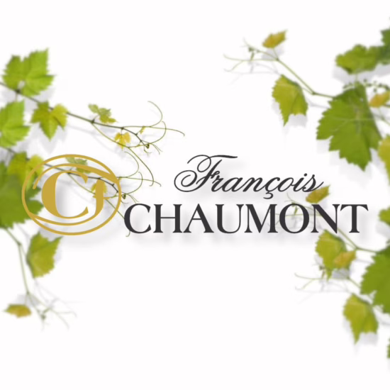 Développement & Hébergement Site Web Francois Chaumont