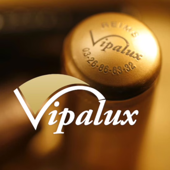 Développement & Hébergement Site Web Vipalux